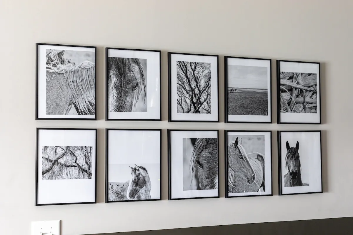 A thoughtfully arranged wall of black-and-white photographs, featuring images of horses and landscapes. The display invites reflection and conversation, hinting at historical and artistic interests.